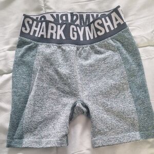 Gymshark Gray and Teal Seamless Active Shorts